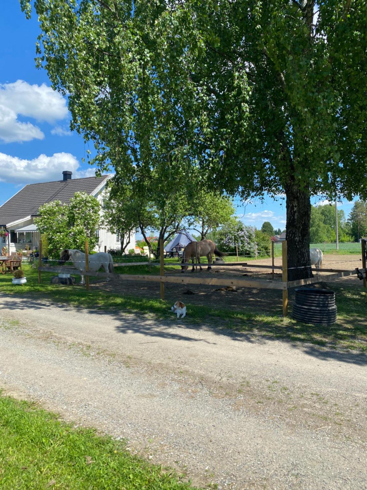 Sundby Fjordhestgard Βίλα Garder Εξωτερικό φωτογραφία