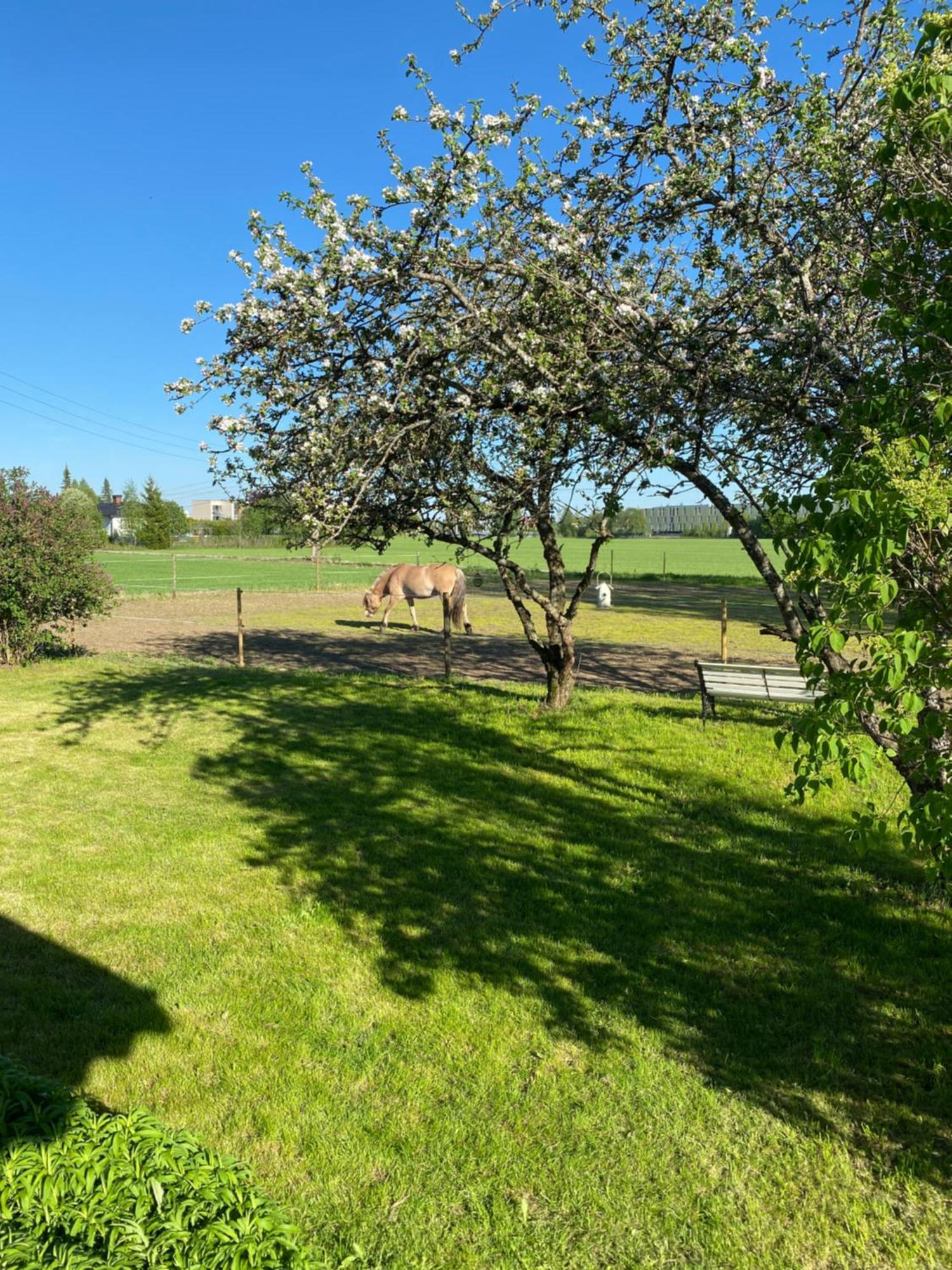 Sundby Fjordhestgard Βίλα Garder Εξωτερικό φωτογραφία